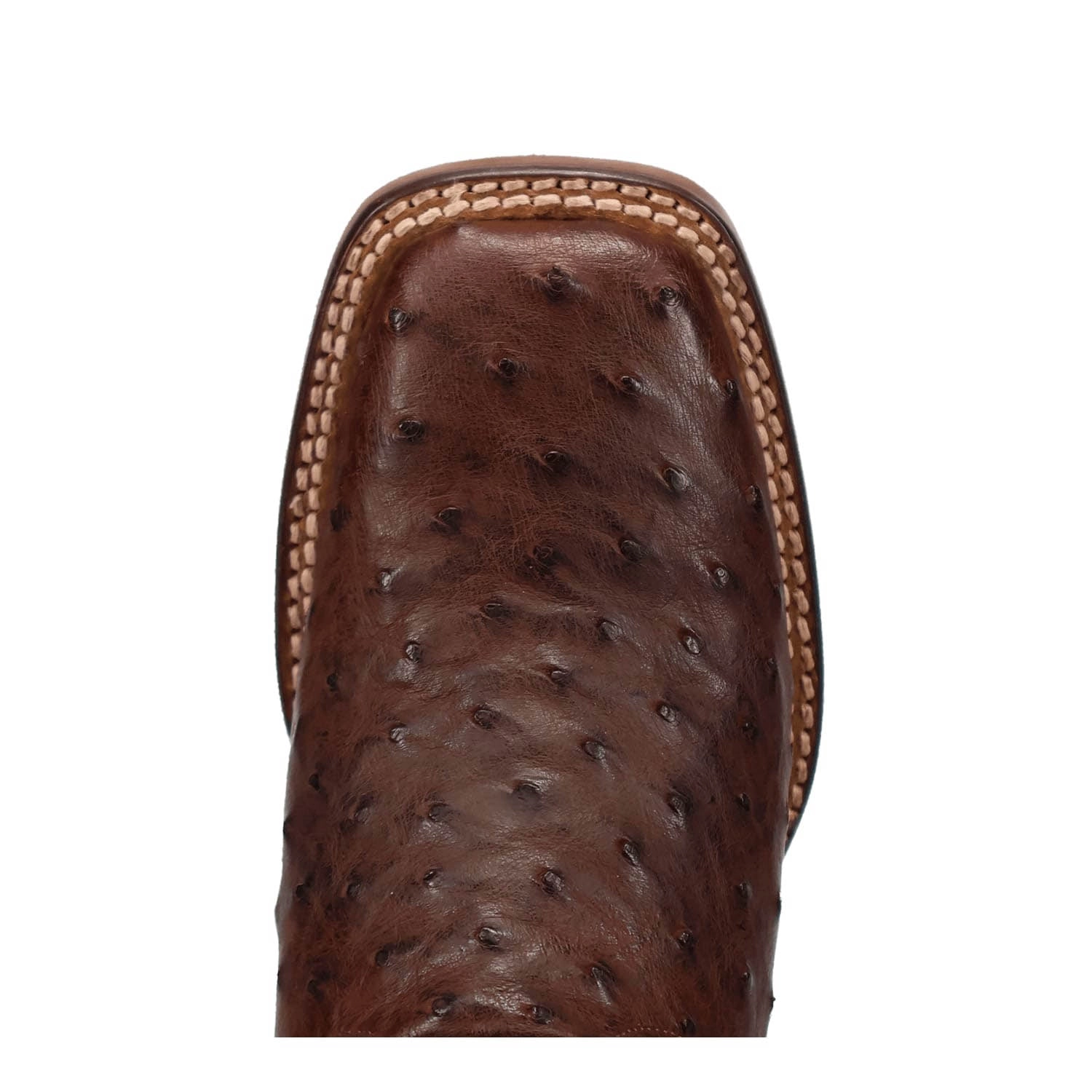Dan Post Womens Kylo Chocolate Full Quill Ostrich Cowboy Boots
