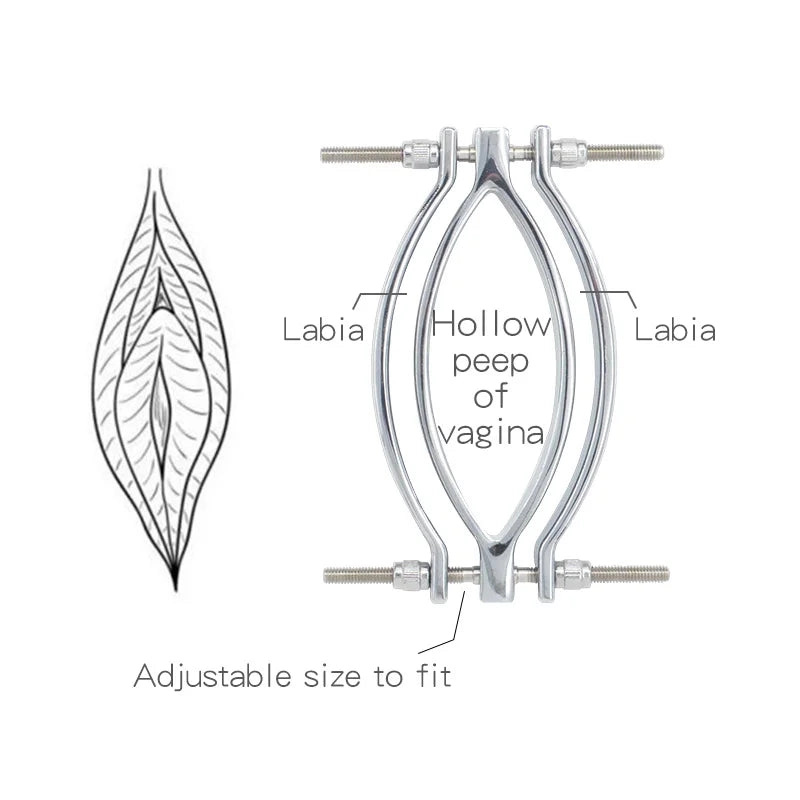Labia Clamp Metal Labia Clip 2 Styles of Pussy Clamps
