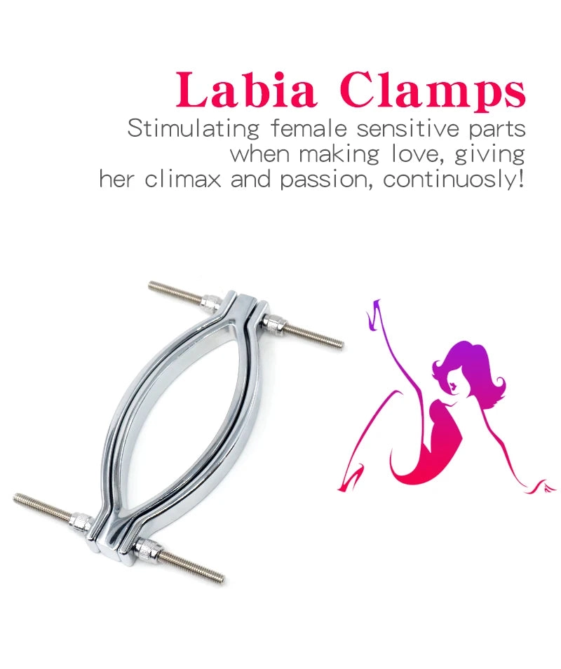 Labia Clamp Metal Labia Clip 2 Styles of Pussy Clamps