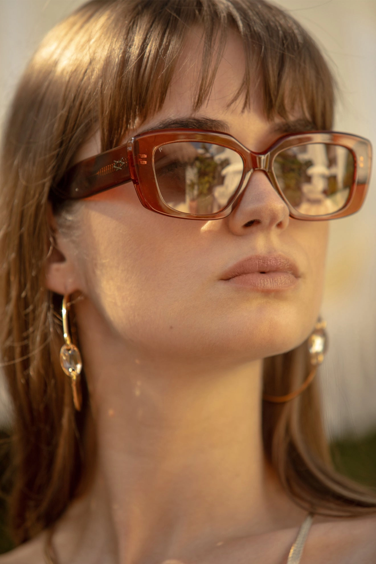 Murray Glasses - Geometric - Translucent Brown