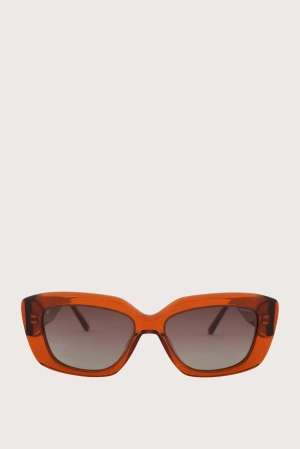 Murray Glasses - Geometric - Translucent Brown