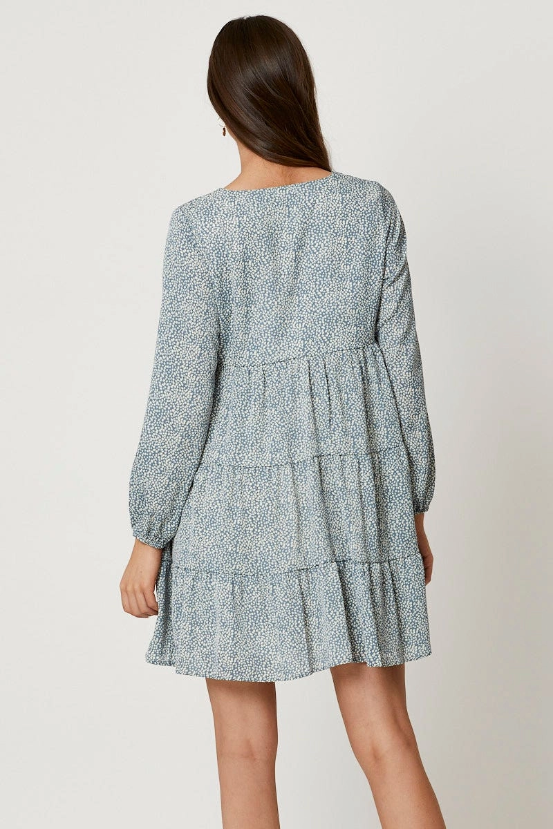 Print Skater Dress