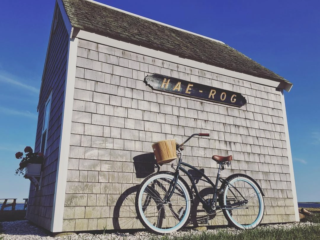 sixthreezero Scholar Woman 3 Speed 26" Beach Cruiser Bike